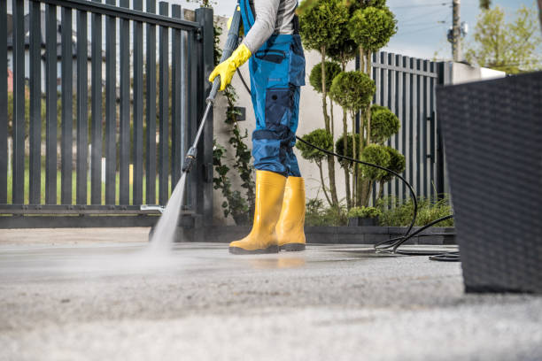 Best Solar Panel Cleaning  in Zebulon, GA